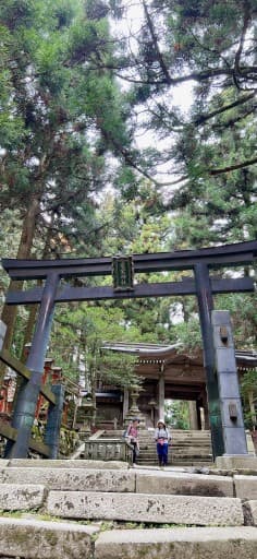 1/27愛宕山ハイキング(京都)