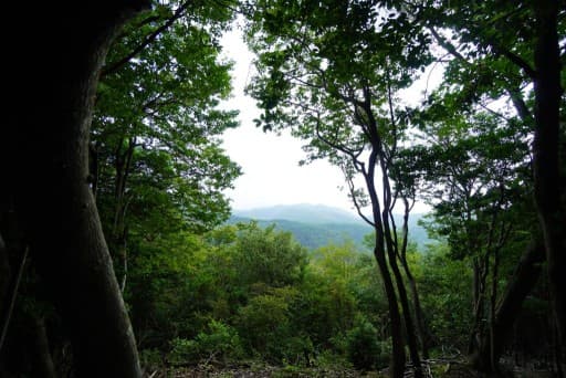 1月25日-27日　箕面山ハイキング仲間募集