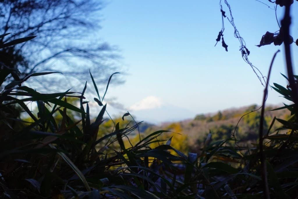1月28(日)湘南にのみや　吾妻山ライトハイク参考画像:0
