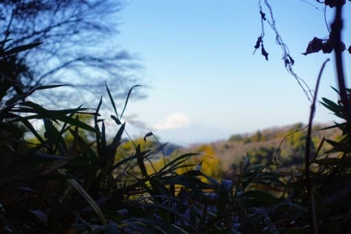 1月28(日)湘南にのみや　吾妻山ライトハイク