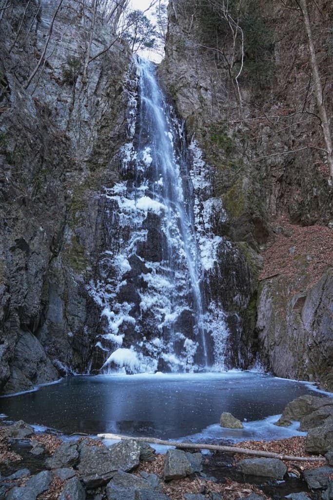 【急募】2/3(土) 川苔山参考画像:0
