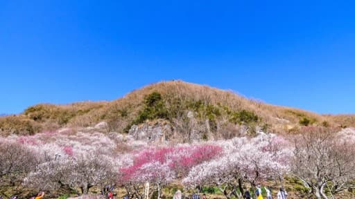 幕山ハイキング@2/17(土)