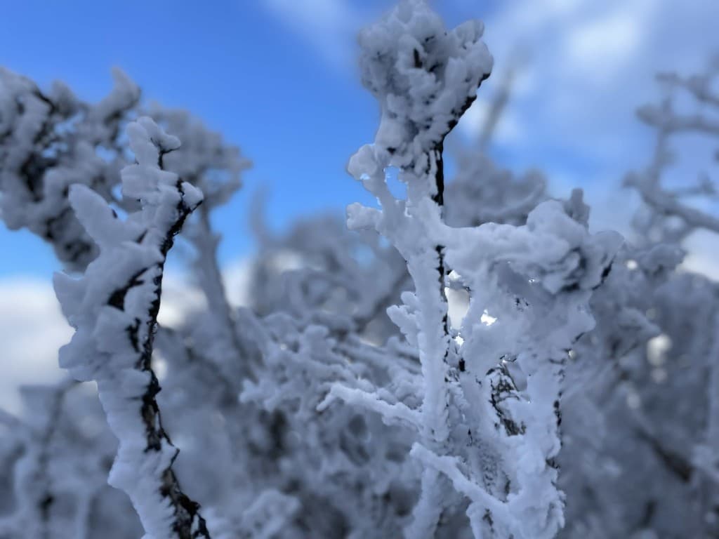 【大阪発】　奈良県　三峰山　樹氷まつり参考画像:0