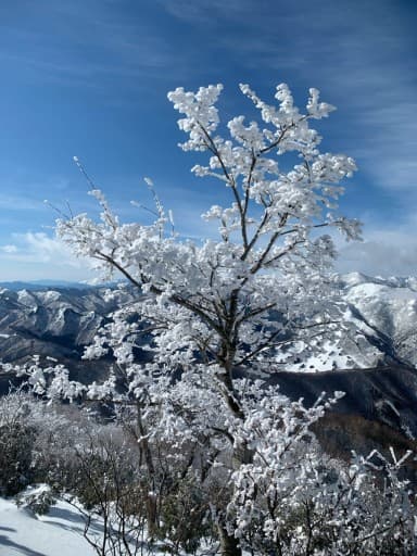 神奈川発雲龍渓谷