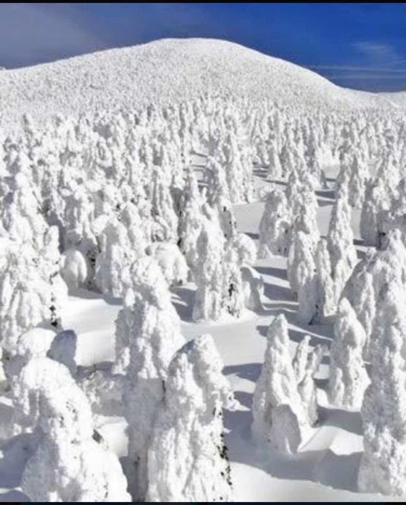 スノーモンスターを見に西吾妻山へ参考画像:0