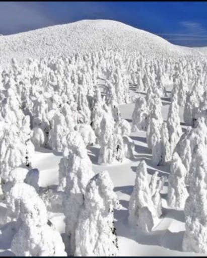 スノーモンスターを見に西吾妻山へ