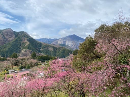 2/11(日)芦ヶ久保駅発、丸山♨️