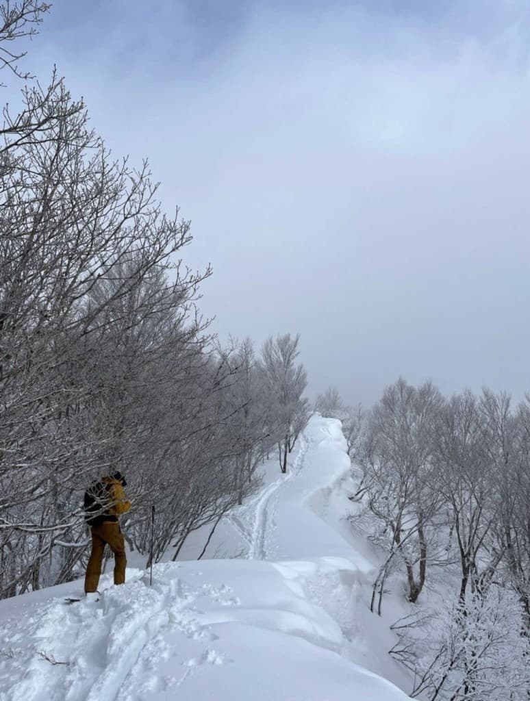 [2/12]平標山または東谷山BC参考画像:0