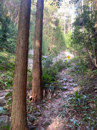 棚山観音巡礼登山参考画像:0