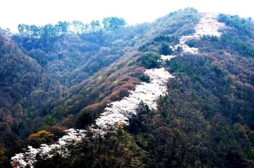 4/6お花見登山  光城山【あと1名募集】