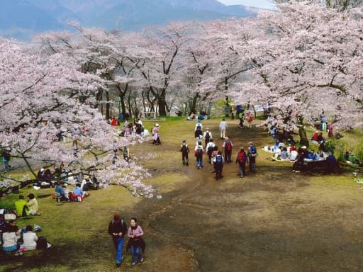 3/20(水,祝日)弘法山公園 サムギョプサルパーティー参考画像:1