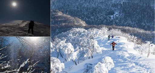2/28 伯耆大山(弥山) 現地集合