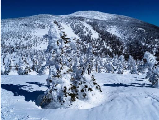 3/9(土)西吾妻　天元台　プチBCスノボー🏂