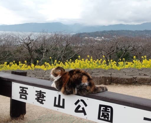 宮城野橋から明神が岳