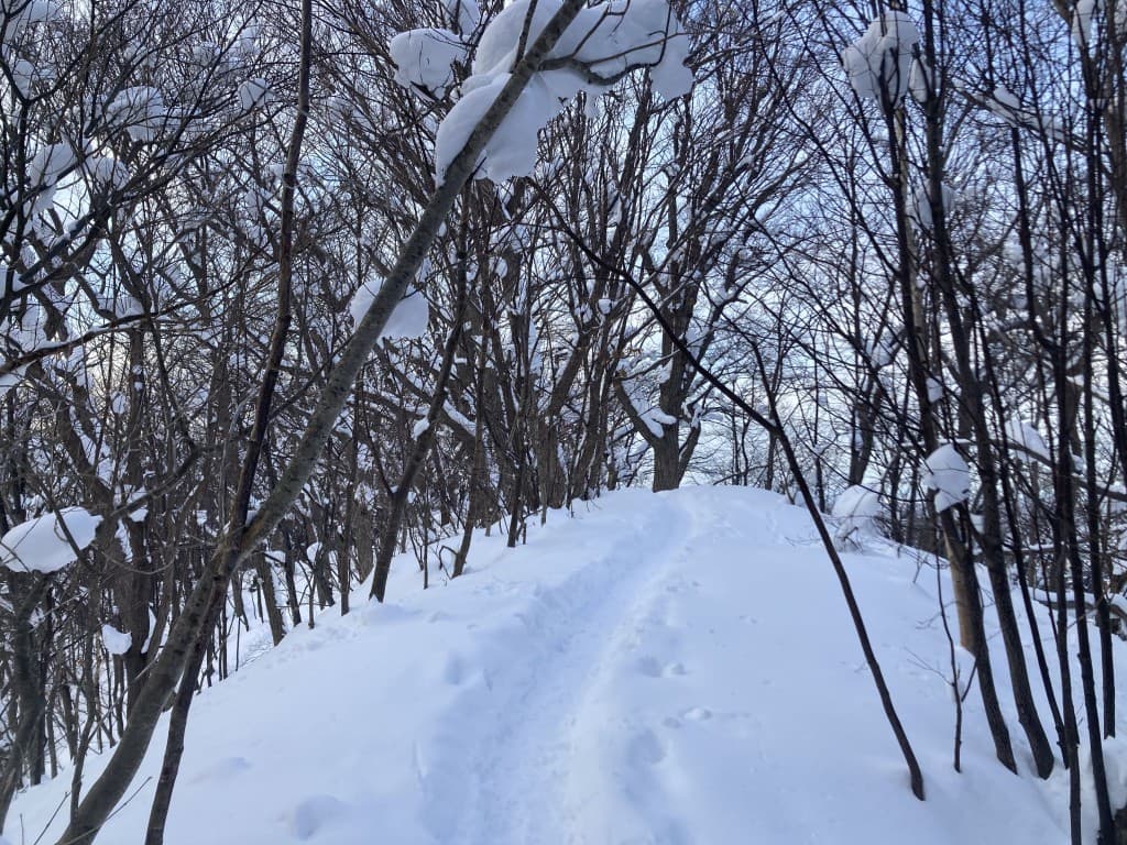 【3/23(土)日帰り赤城山:黒檜山～駒ケ岳】参考画像:0