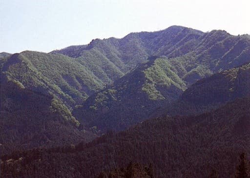 奥武蔵:有間→蕨山稜線周回