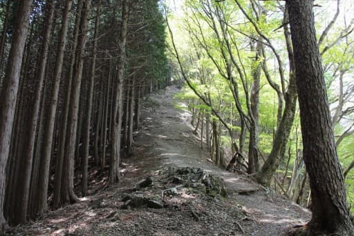 奥武蔵:有間→蕨山稜線周回参考画像:1