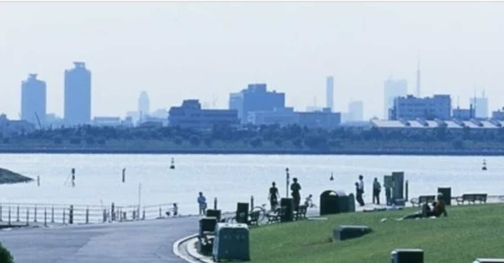 3/24(日) 葛西臨海公園ラン参加者募集中！ランニング仲間も募集中！参考画像:0