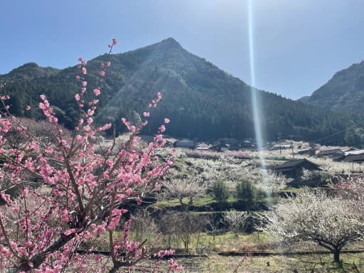 浅間山・権現山・弘法山　渋沢丘陵　丹沢