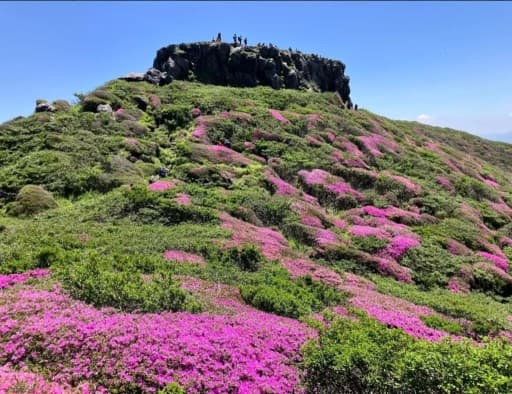 5/25.26阿蘇山.祖母山(あとお一人)