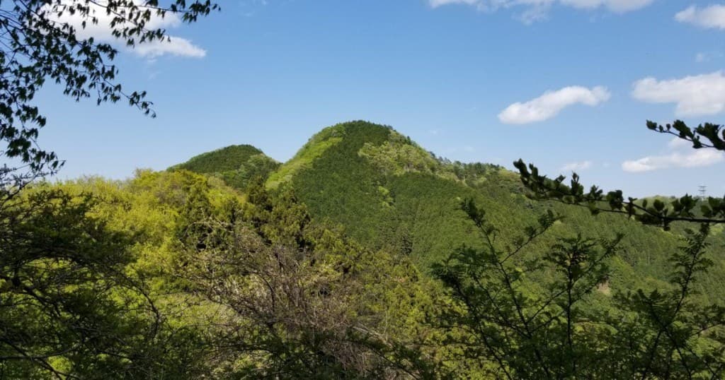 3/31→二子山+武川岳縦走参考画像:1