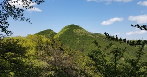 3/31→二子山+武川岳縦走参考画像:1