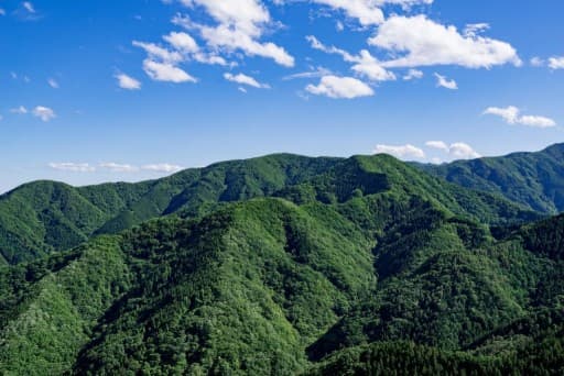 3/31→二子山+武川岳縦走参考画像:2