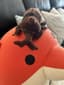 Kitchumaru