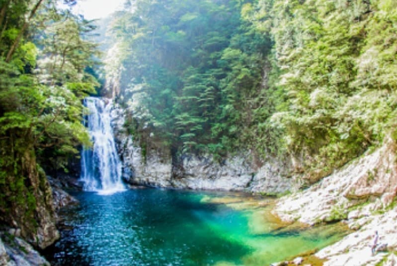 【満員御礼】5/3〜5/6 近畿遠征（①大杉谷・大台ケ原、②大峰山、③御在所岳）参考画像:0