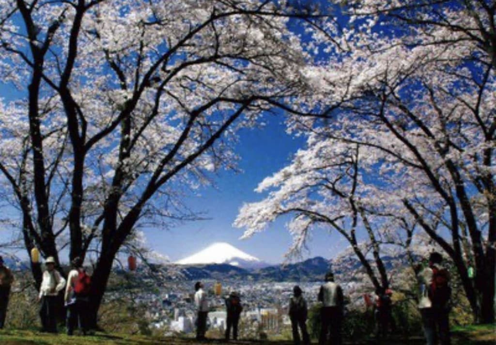 4/14(日)弘法山ハイキング参考画像:0