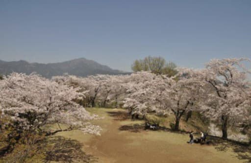 4/14(日)弘法山ハイキング参考画像:1