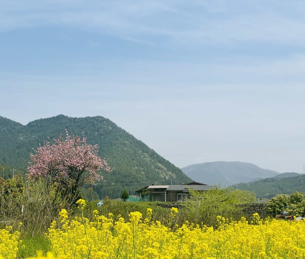4/29-5/1にかけて上高地参考画像:0