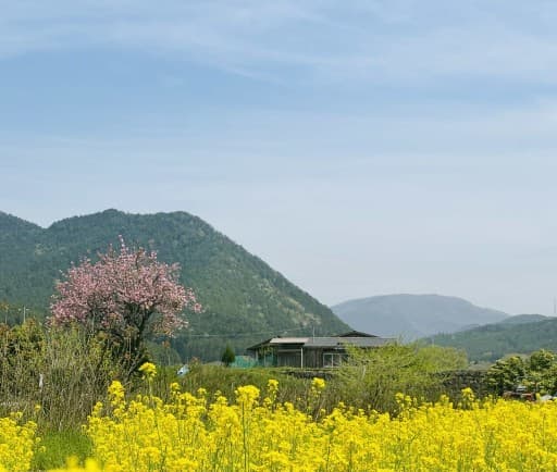 4/29-5/1にかけて上高地