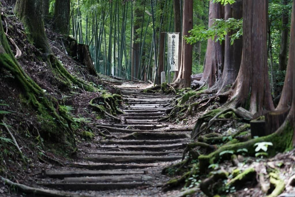 七面山:4/29参考画像:0
