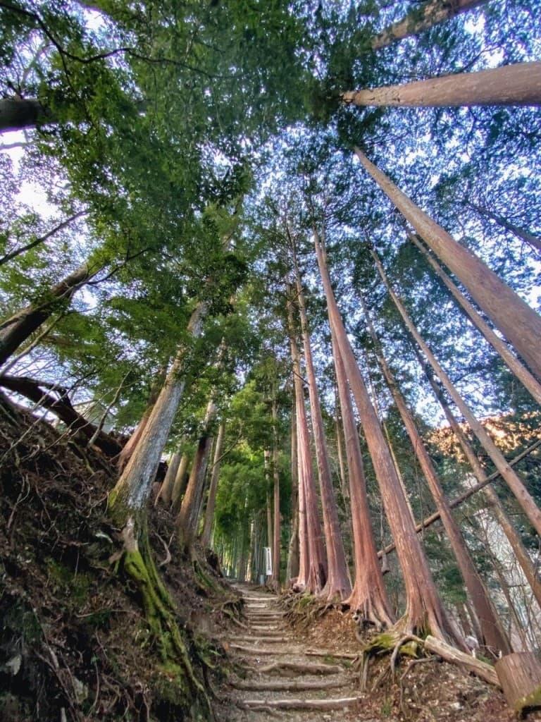 七面山:4/29参考画像:1