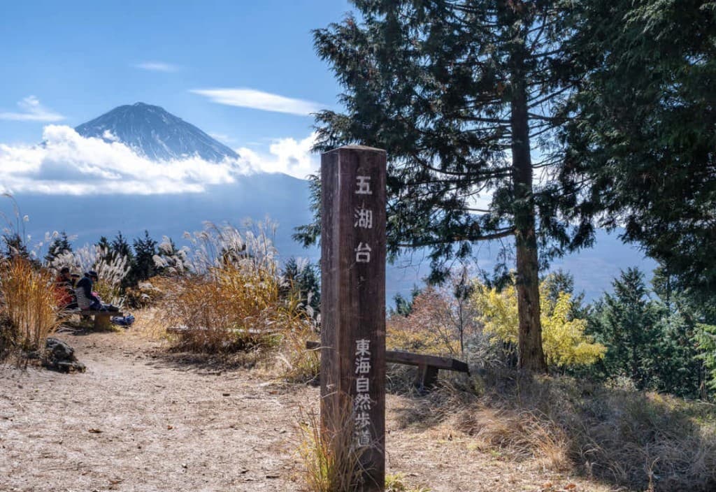 4/28(日)足和田山（現地集合）参考画像:2