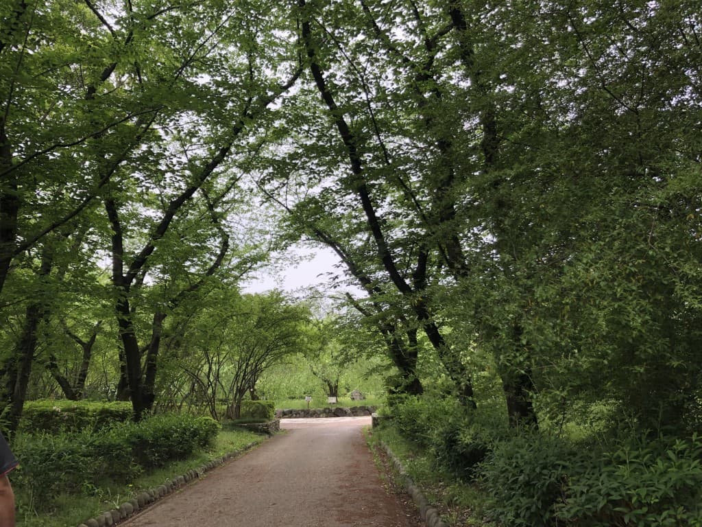鶴舞公園・ウォーキング会参考画像:0