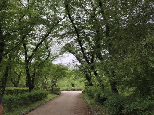鶴舞公園・ウォーキング会