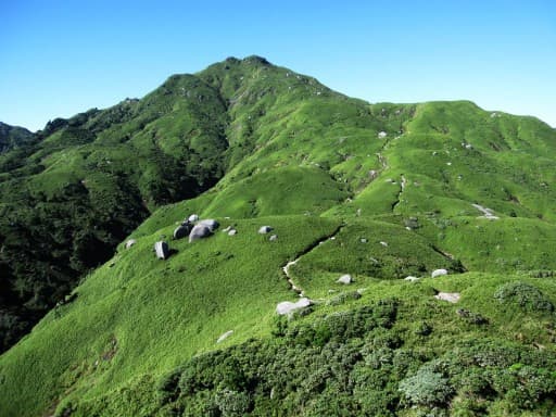 【タクシー相乗り募集】2024/5/10 屋久島淀川登山口まで