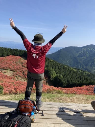 急募: 大和葛城山にツツジを見に行きませんか？参考画像:2