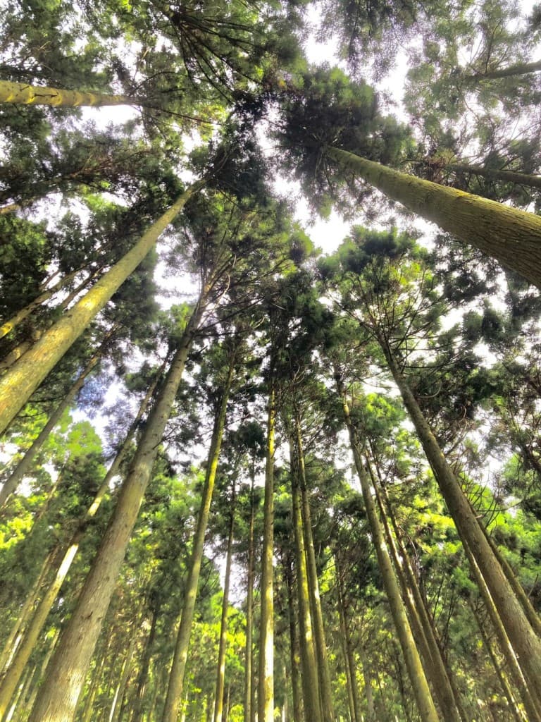 【まだ募集中です！】5/12(日)高取山・仏果山参考画像:0