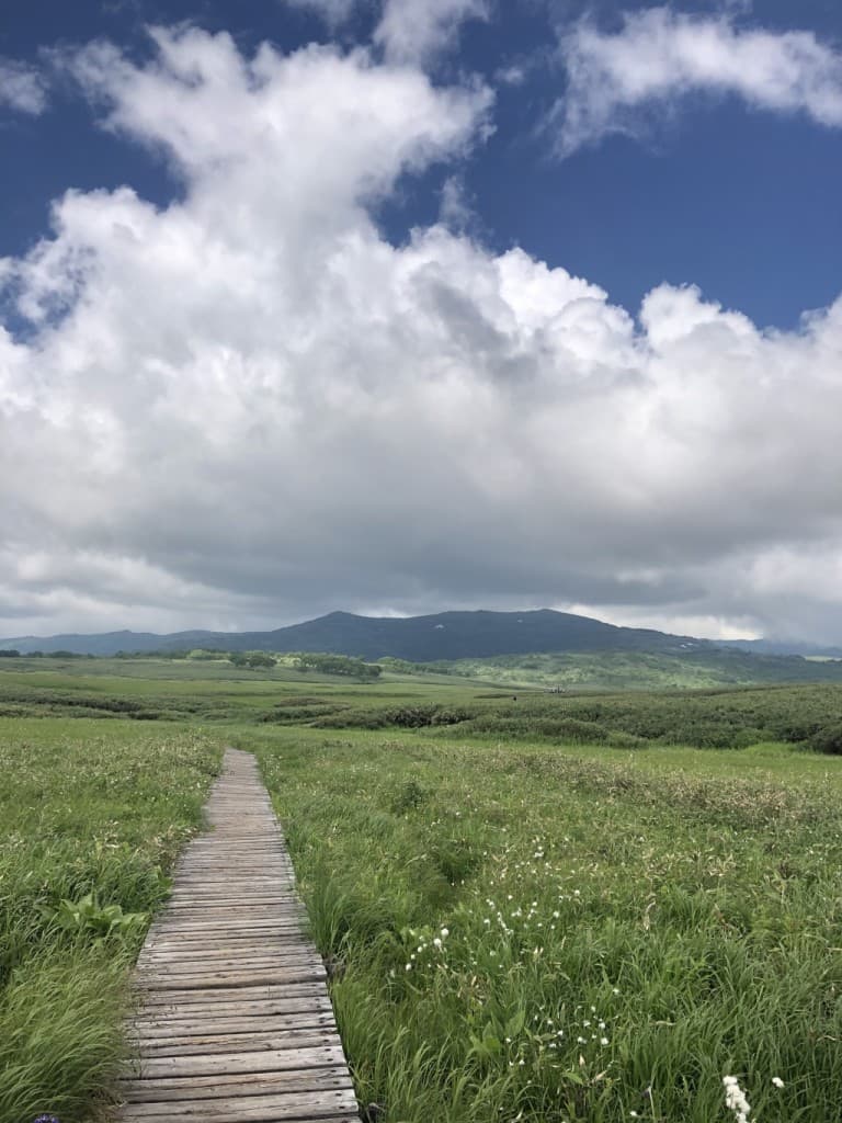 ガイド登山　雨竜沼湿原参考画像:0