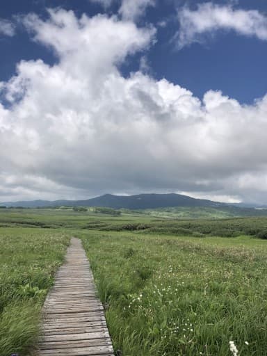 ガイド登山　雨竜沼湿原参考画像:0