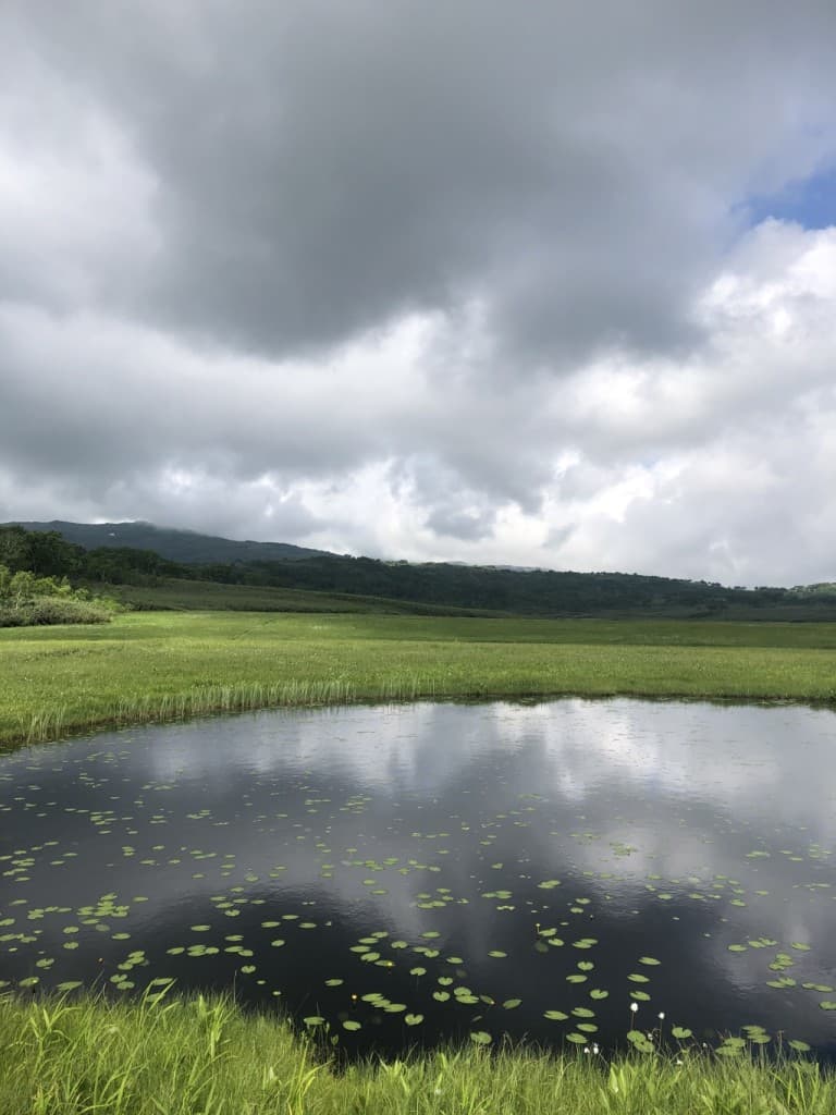 ガイド登山　雨竜沼湿原参考画像:1