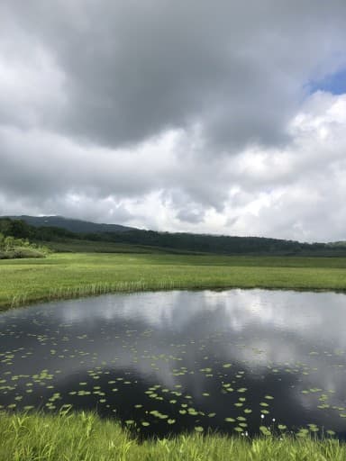 ガイド登山　雨竜沼湿原参考画像:1