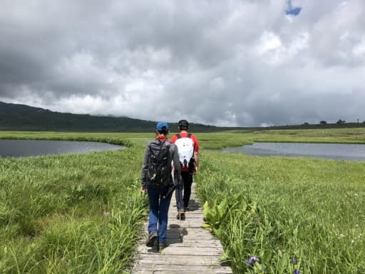 ガイド登山　雨竜沼湿原参考画像:2
