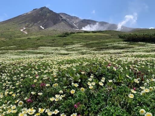 8/15-8/17 旭岳〜トムラウシ岳〜十勝岳縦走 2泊3日テント泊🏕️