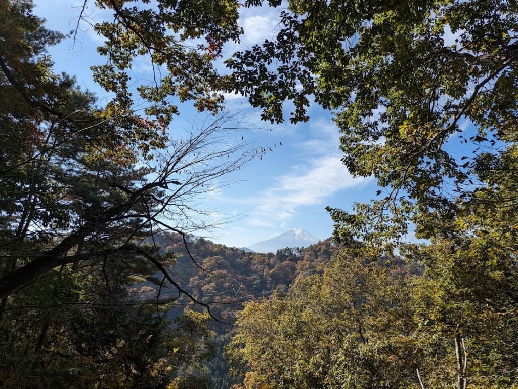 遅れたら帰れない！奈良倉山 de そうめん参考画像:0
