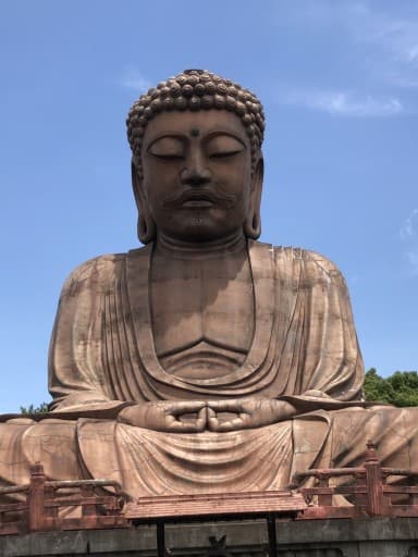 聚楽園公園・ウォーキング