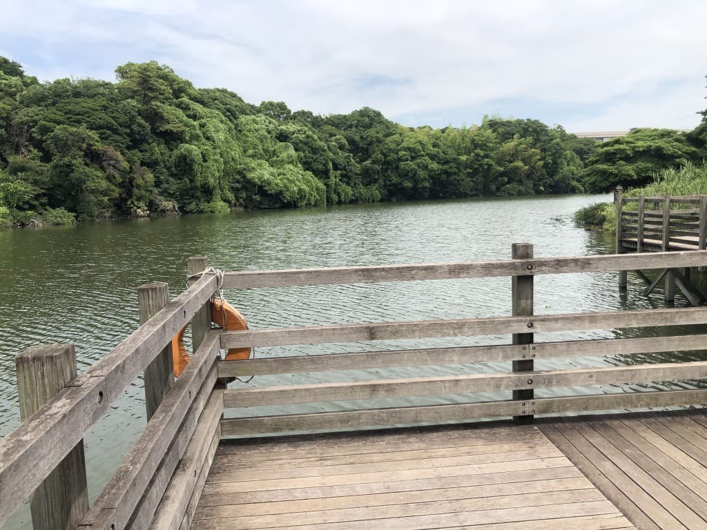 聚楽園公園・ウォーキング参考画像:2